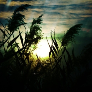 美女操逼喷水视频
